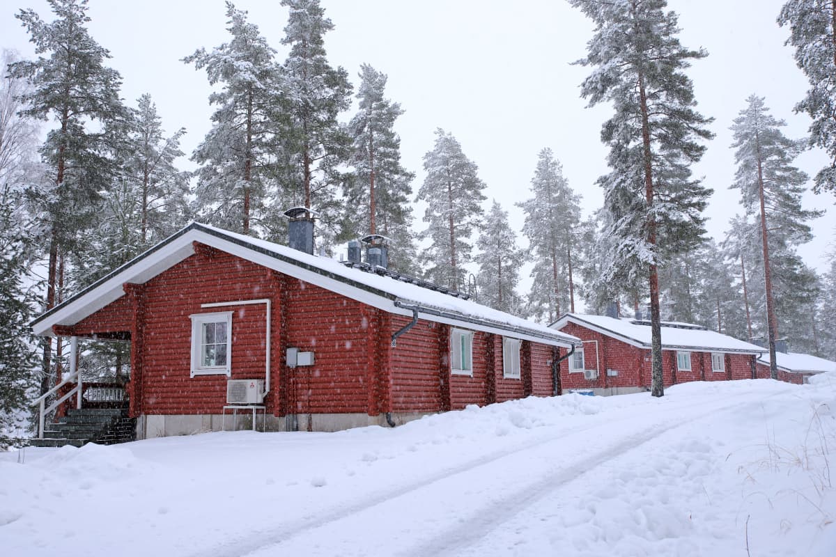 Tuunaansaaren lomakylä Punkaharjulla