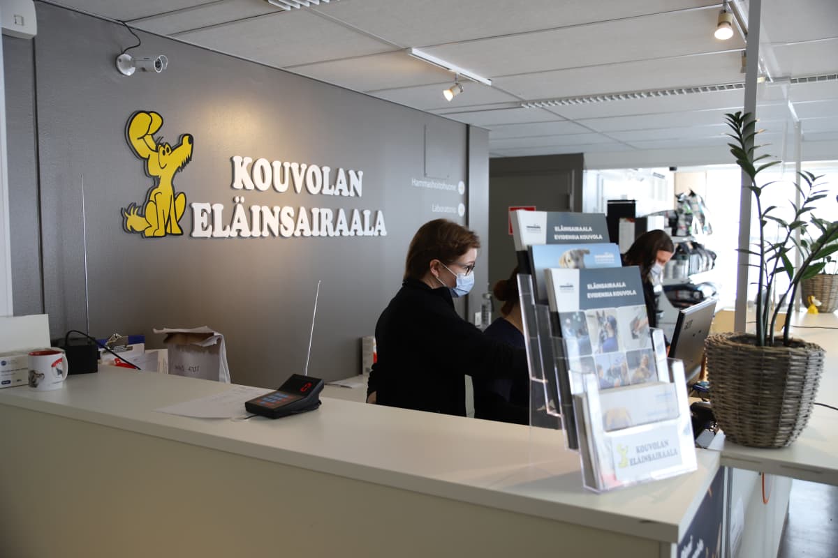 Kouvolan eläinsairaalan vastaanotto.