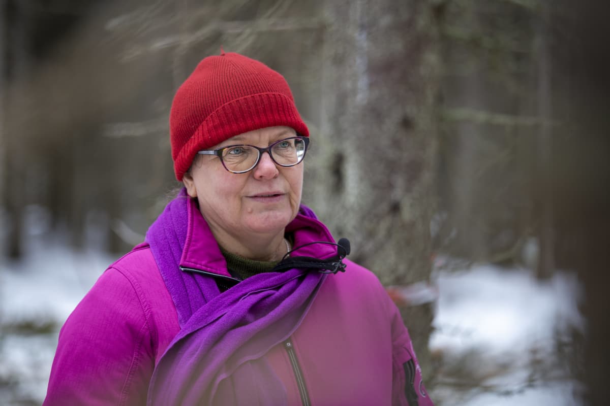 Raisa Mäkipää, tutkimusprofessori, Luke