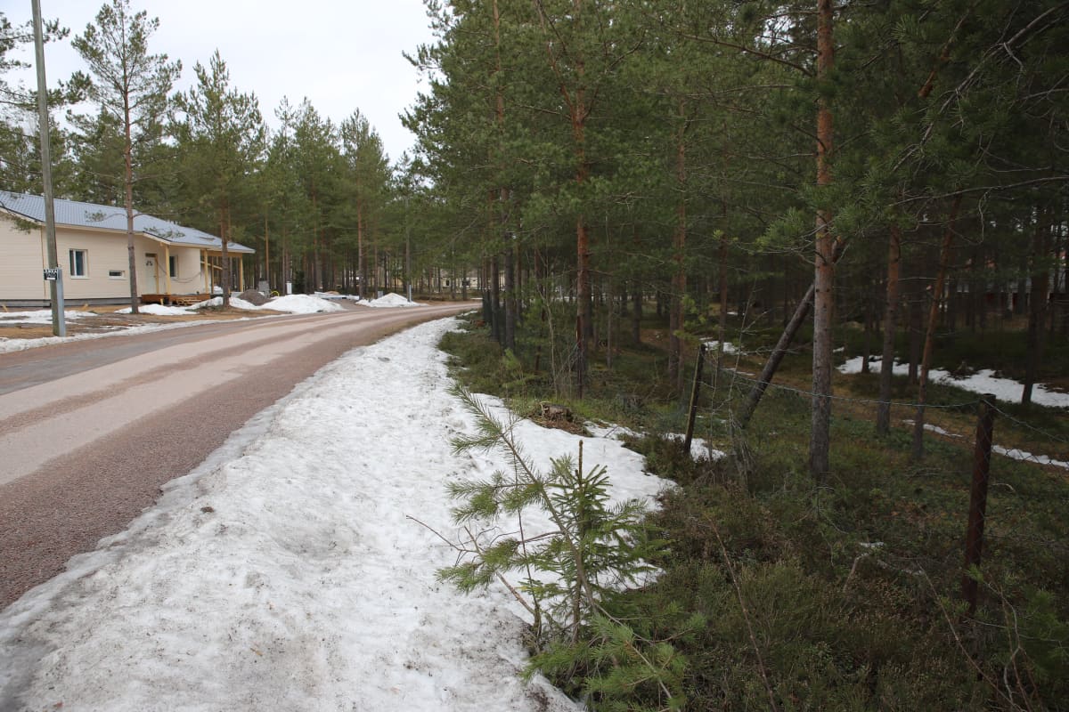 Hartikantien tonttialue omakotitaloja varten Pyhtäällä.