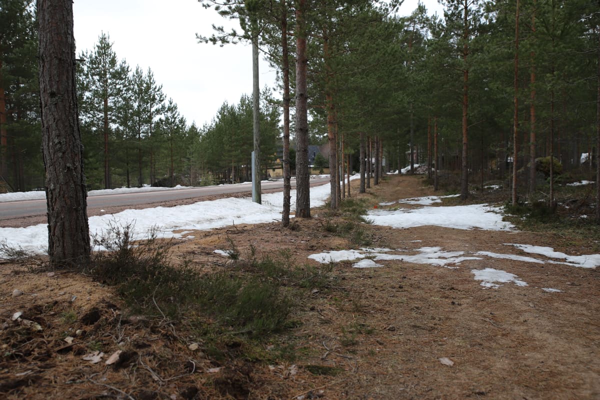 Hartikantien tonttialue omakotitaloja varten Pyhtäällä.