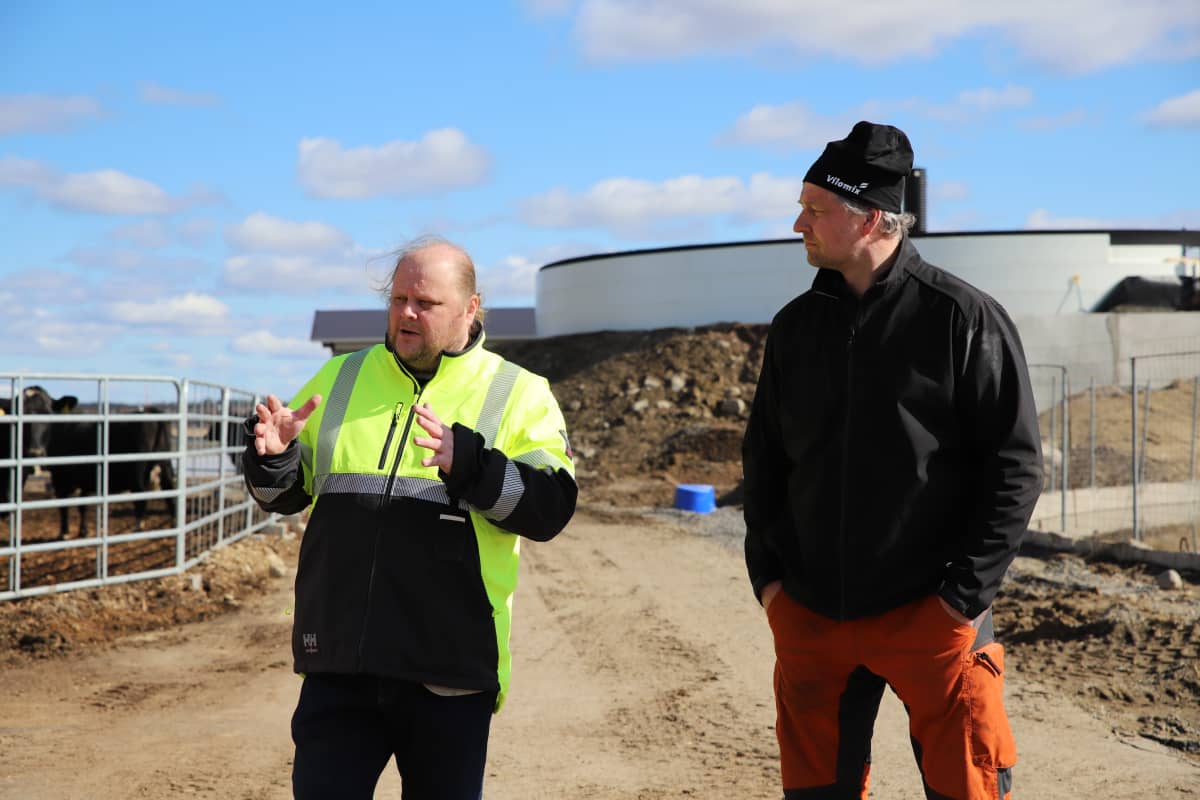 Janne Ekholm (vas.) ja Kyösti Marttila seisovat tilalla Jalasjärvellä.