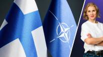 Turkin parlamentti ratifioi Suomen jäsenyyden viimeisenä Nato-maana – katso, miten sotilasliitto on laajentunut