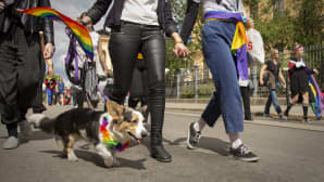Helsingin Pride-viikko huipentui tänään lauantaina Pride-kulkueeseen.