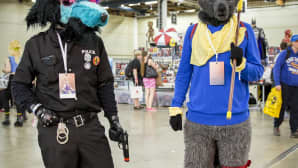 Animecon, cosplay, Turripoliisi, Sly Cooper