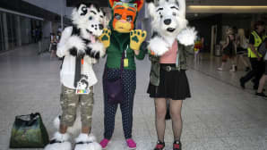 Animecon, cosplay