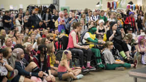Animecon, cosplay