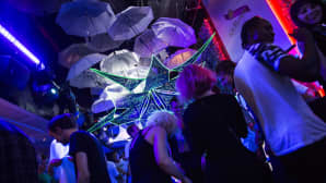Animecon, Night Rave, Voema