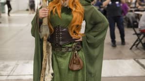 Ropecon, druidi