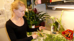 Elina Lampela