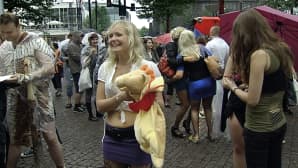 lutkamarssijoita