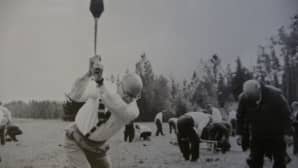 Kekkonen ja kuokka