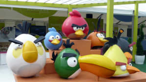Angry birds -hahmoja Tampereen messuosastolla Asuntomessuilla