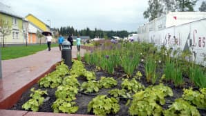 Kirjailijanpuisto sateella