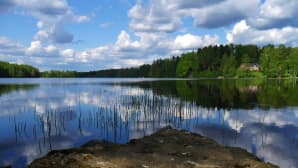 Järvi