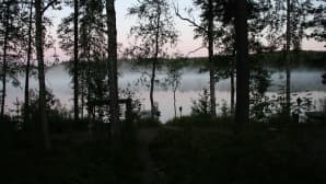 Aamun usvaa