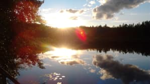 Ilta-aurinko