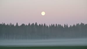 Täysikuu aamuyöllä