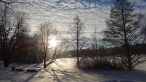 Aurinkoinen talvipäivä