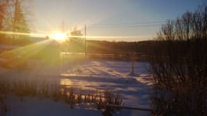 Aurinko sokaisee