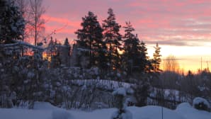 Pakkasaamun ruskoa