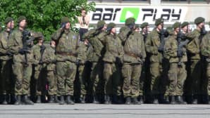 Itä-Suomen sotilasläänin alueellinen puolustusvoimain lippujuhlapäivän paraati Joensuussa 2013.