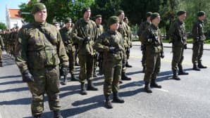 Itä-Suomen sotilasläänin alueellinen puolustusvoimain lippujuhlapäivän paraati Joensuussa 2013.
