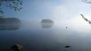 Saari sumussa