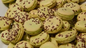 Macaroneja.