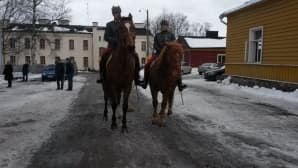 rakuunoja linnoituksessa