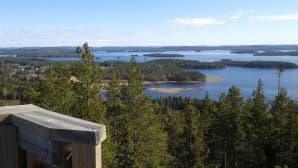 Metsäinen maisema näköalatornista.