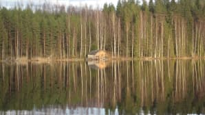 Järvimaisema.