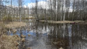 Jämsänjoen maisemaa.