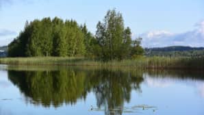 Järvimaisema.