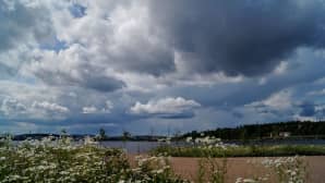 Kesäinen maisema.