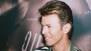 David Bowie 13. marraskuuta 1995.