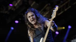 Kitaristi Steve Harris