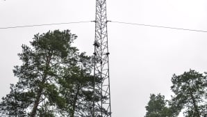 Masto Ritoniemessä.