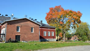 Ruskaa Lappeenrannassa.