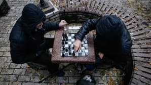 Ukrainalaiset miehet pelaavat shakkia Kievin keskustassa.