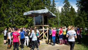 Joensuu-Jukola