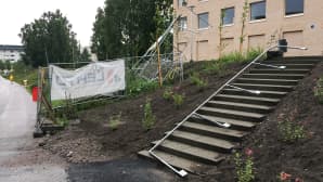 Myrskyvahinkoja Helsingin Viikissä.