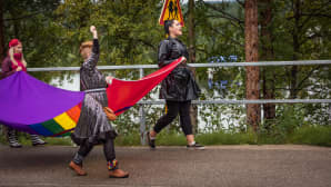 Sápmi Pride