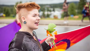 Sápmi Pride
