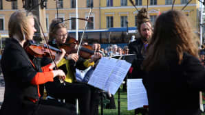 Sirkka-orkesteri soitti klassista musiikkia.
