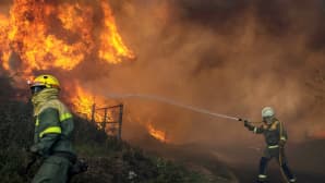 Palomiehet sammuttivat edelleen riehuvia metsäpaloja Galiciassa Espanjassa 13. lokakuuta. Galician alueella riehuu 14 metsäpaloa.