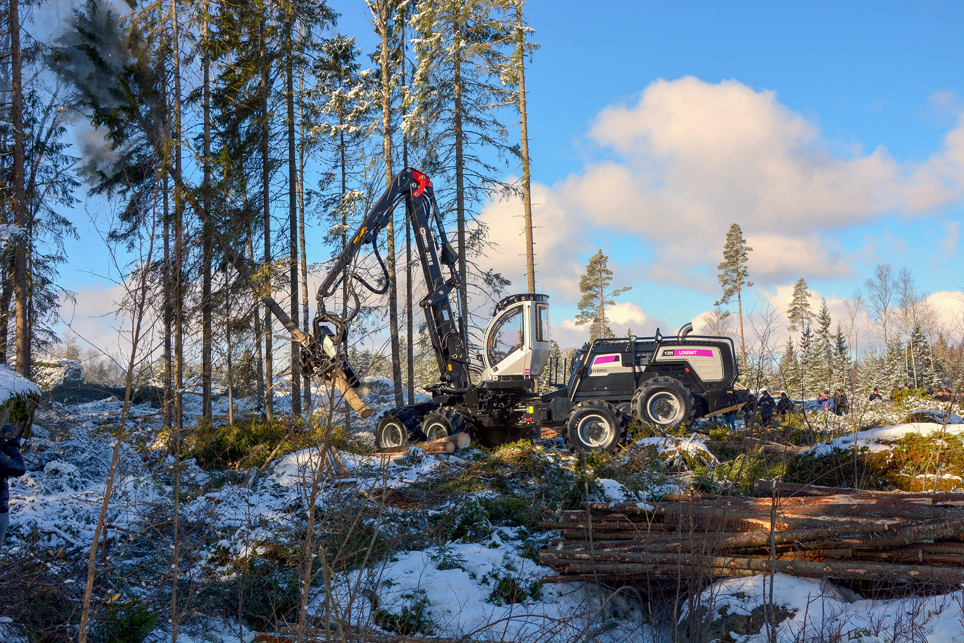 Industri hutan Finland, penggunaan kereta, adalah subjek kajian semula dalam kajian semula alam sekitar OECD