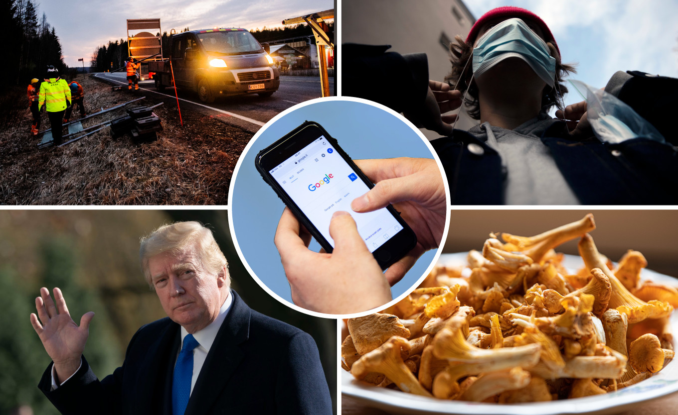 Coronavirus, Big Brother, potato salad are one of Finland’s most googled terms in 2020