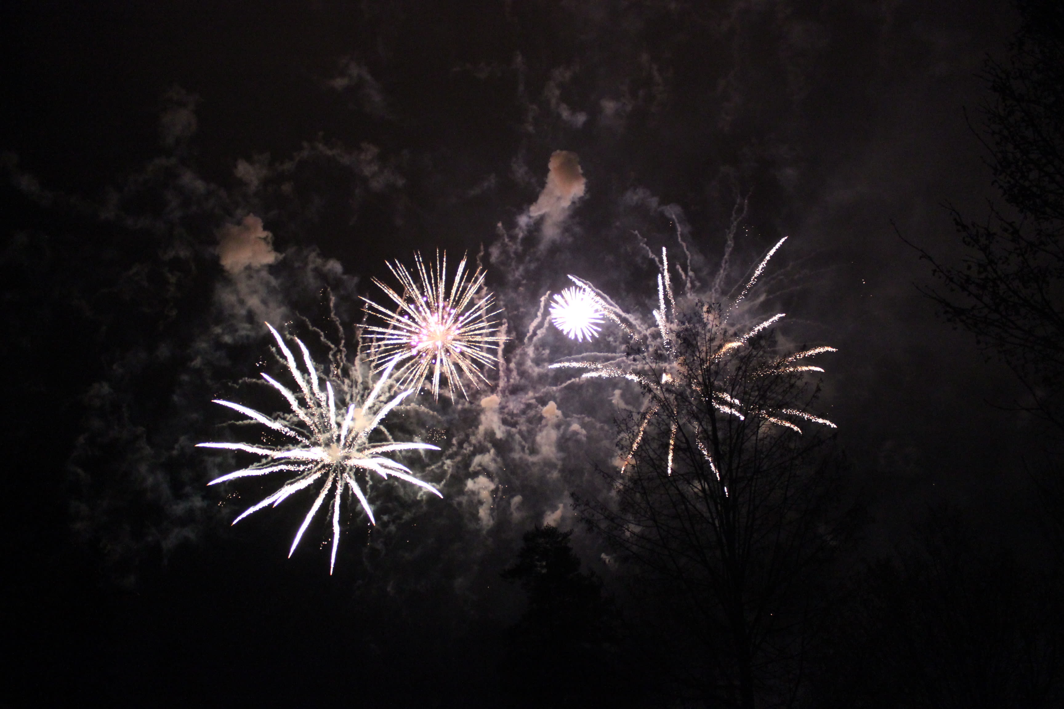 Covid extinguishes Finland’s traditional New Year’s fireworks