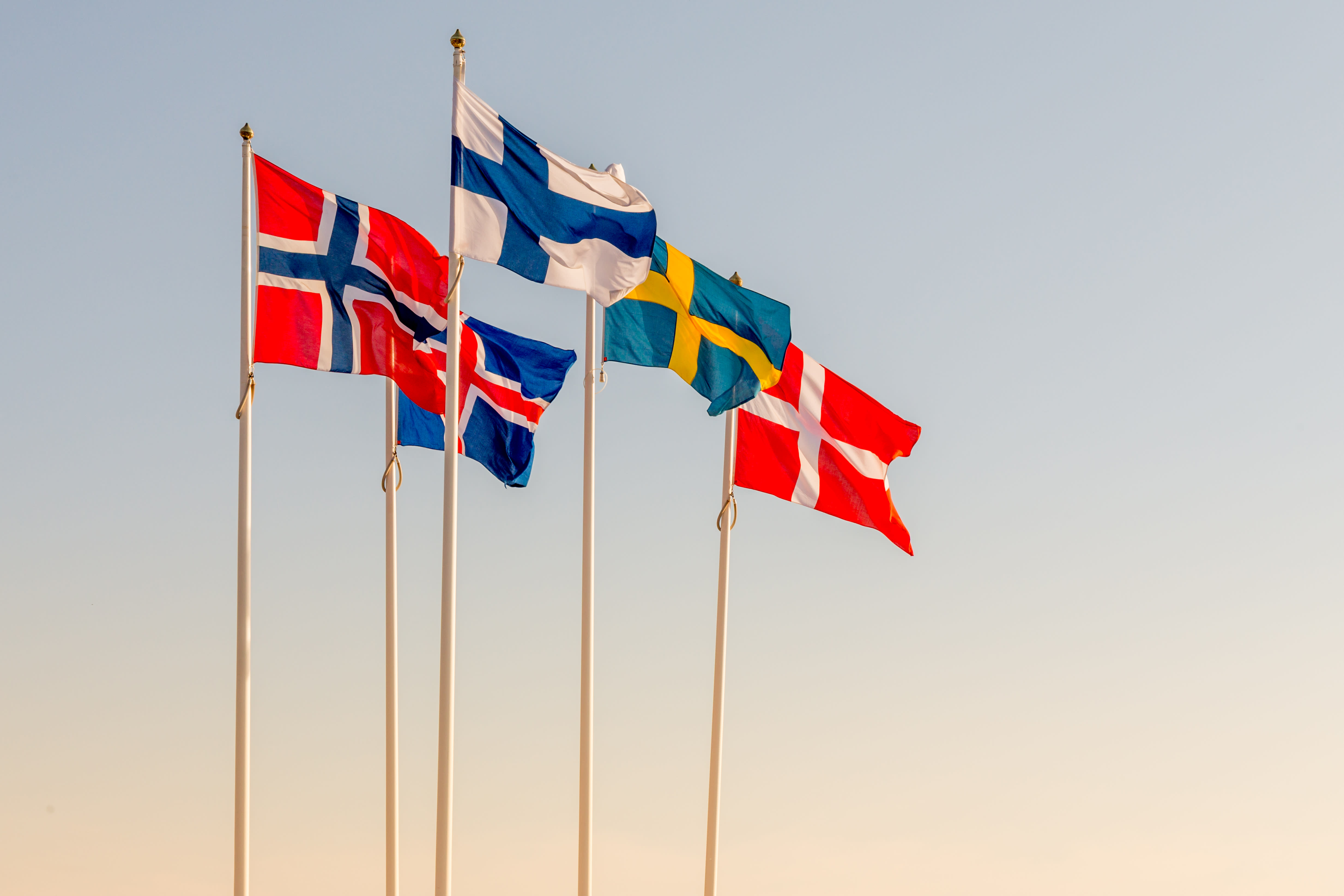 Los vecinos nórdicos que se burlan de los estereotipos finlandeses se convierten en éxitos en las redes sociales